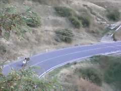R0014079 R0014079