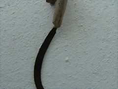 corvilla corvilla