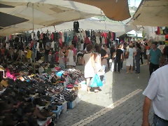 DSCN7661 DSCN7661