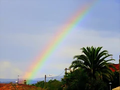 60-IMG_3223 60-IMG_3223