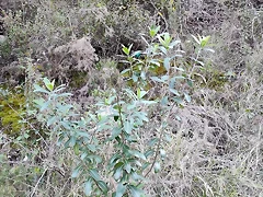IMG_20210106_164402 IMG_20210106_164402