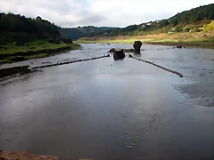 DSCN5403 DSCN5403