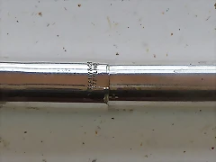 H1