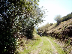 DSCN4494 DSCN4494
