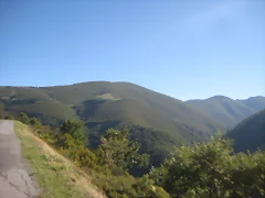 IMG_1050 IMG_1050
