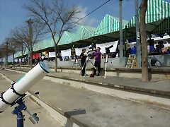 P1030893_copy