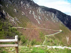 DSCN4406 DSCN4406