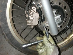 DSCN5231