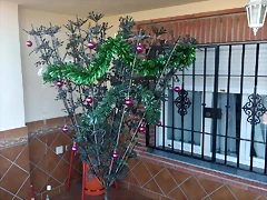 IMG_20190106_105537