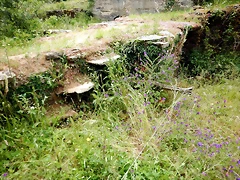 DSCN4358 DSCN4358