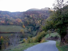 DSCN9037 DSCN9037