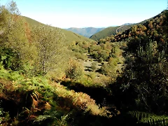 DSCN8035 DSCN8035