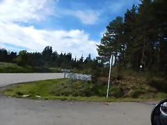 DSCN8578 DSCN8578