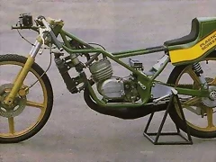 81gpleft