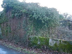 DSCN7192 DSCN7192