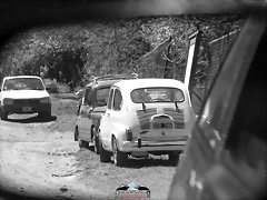 CAS_3532