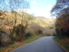 DSCN0989 DSCN0989