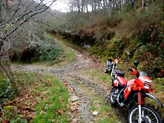 DSCN2087 DSCN2087