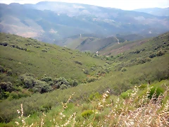 DSCN6235 DSCN6235