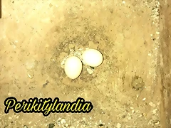 PicsArt_08-15-10.59.54 PicsArt_08-15-10.59.54