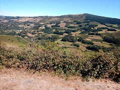 DSCN0263 DSCN0263