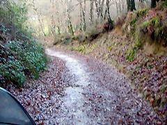 DSCN7197 DSCN7197