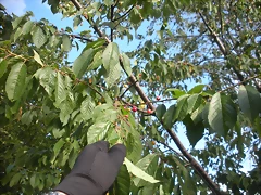 DSCN4296 DSCN4296
