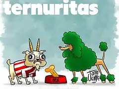 TERNURITAS