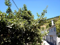 DSCN3926 DSCN3926