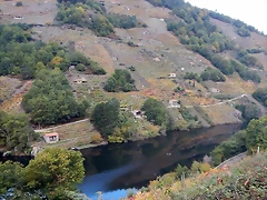 DSCN9855 DSCN9855