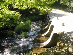 DSCN6596 DSCN6596
