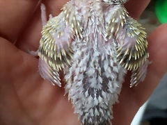 20190625_132232 20190625_132232