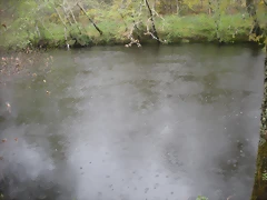 DSCN4168 DSCN4168