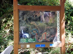 DSCN7624