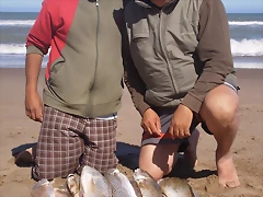PB130852 PB130852
