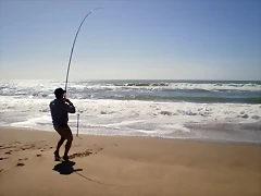 PB130807 PB130807
