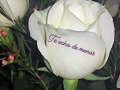 Mar?a IG Stories 16-11-2018 (4) Mar?a IG Stories 16-11-2018 (4)
