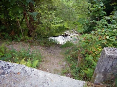 DSCN9264 DSCN9264