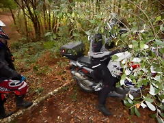 DSCN7352 DSCN7352