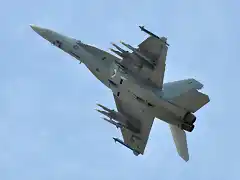 F-18 Super Hornet de la US Navy