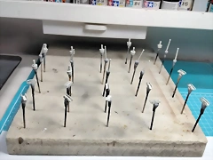 20250113_194214 20250113_194214