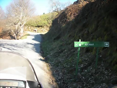 DSCN2998 DSCN2998