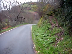 DSCN1002 DSCN1002
