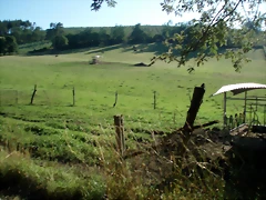 P1010142 P1010142