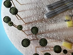 34