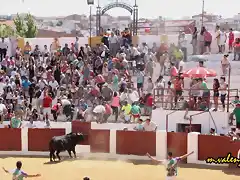 39, levantando las tablas del callejn, marca