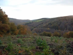 DSCN0618