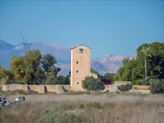 IMG_20220118_174617