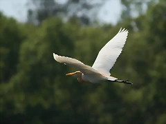 IMG_2153 IMG_2153