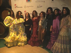 Pasarela 14-2-2015 (21)